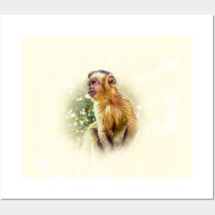 Tufted capuchin Posters and Art